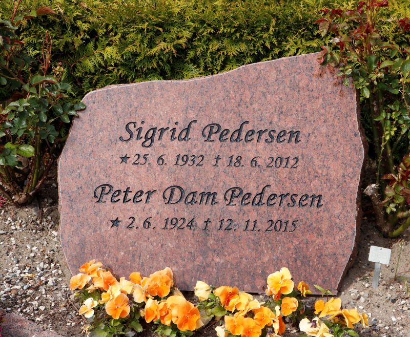 Peter Dam Pedersen.JPG